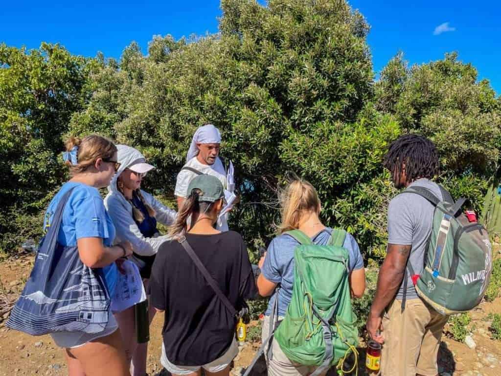 Ecologist Kevel Lindsay training The Nature Foundation staff in plant identification. Photo Credit: Mark Yokoyama